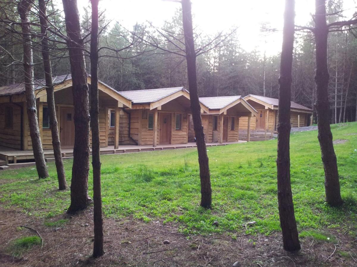 Wyldwood Lodge Чідл Екстер'єр фото